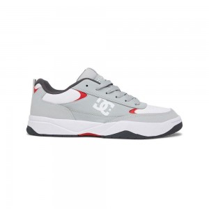 DC Shoes Penza Träningsskor Herr Grå Vita | ELDZ-46291