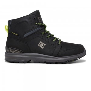 DC Shoes Torstein Stövlar Herr Svarta Grå | LZNI-01795