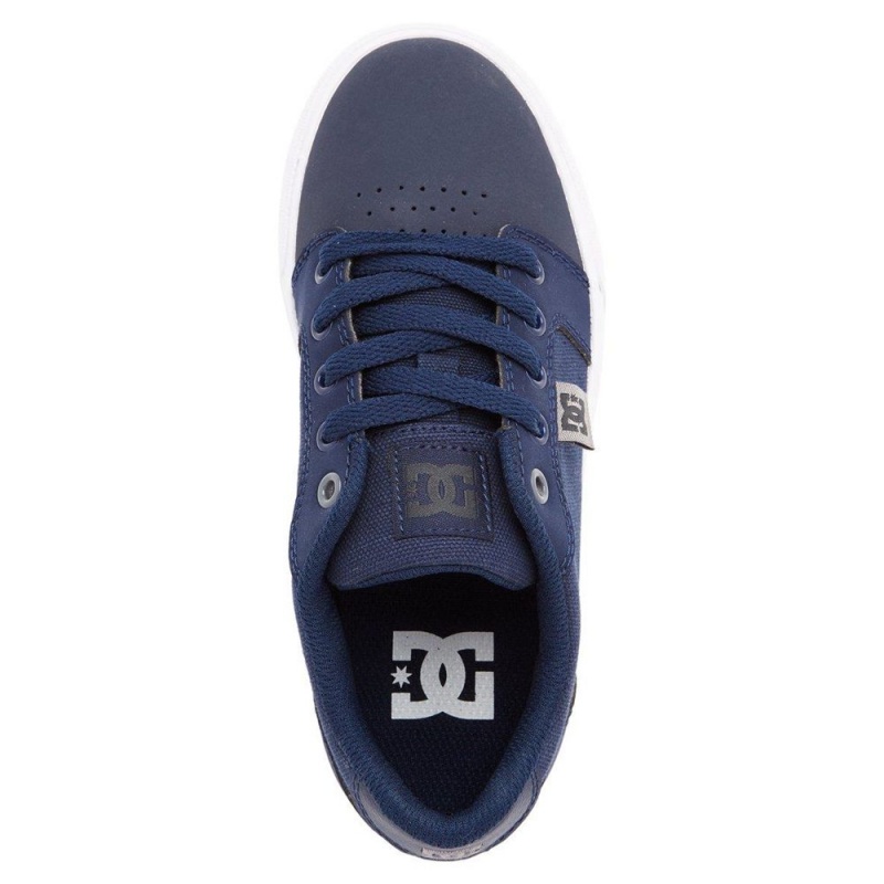 DC Shoes Anvil Skateskor Barn Marinblå Grå | LZDC-85197