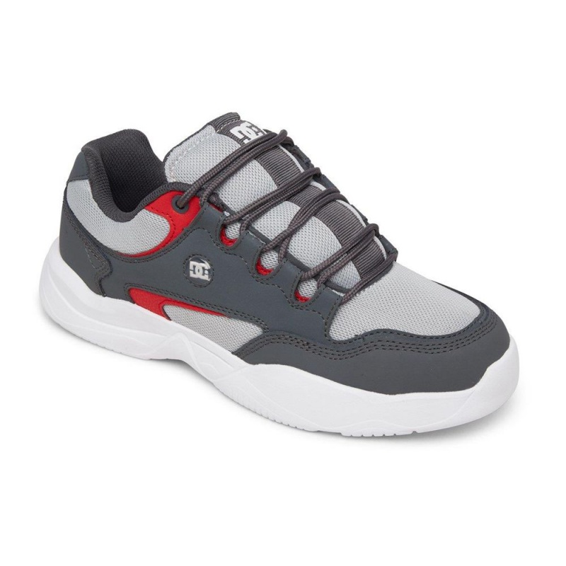 DC Shoes Decel Träningsskor Herr Grå Svarta | GPTN-09673