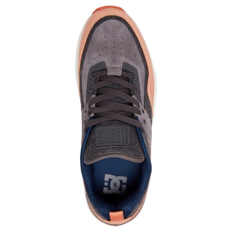 DC Shoes E.Tribeka Träningsskor Herr Grå Bruna | DQGJ-18724