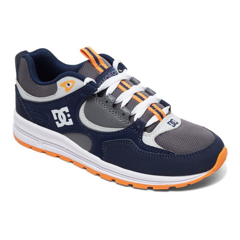 DC Shoes Kalis Träningsskor Barn Marinblå Grå | HEMK-79634