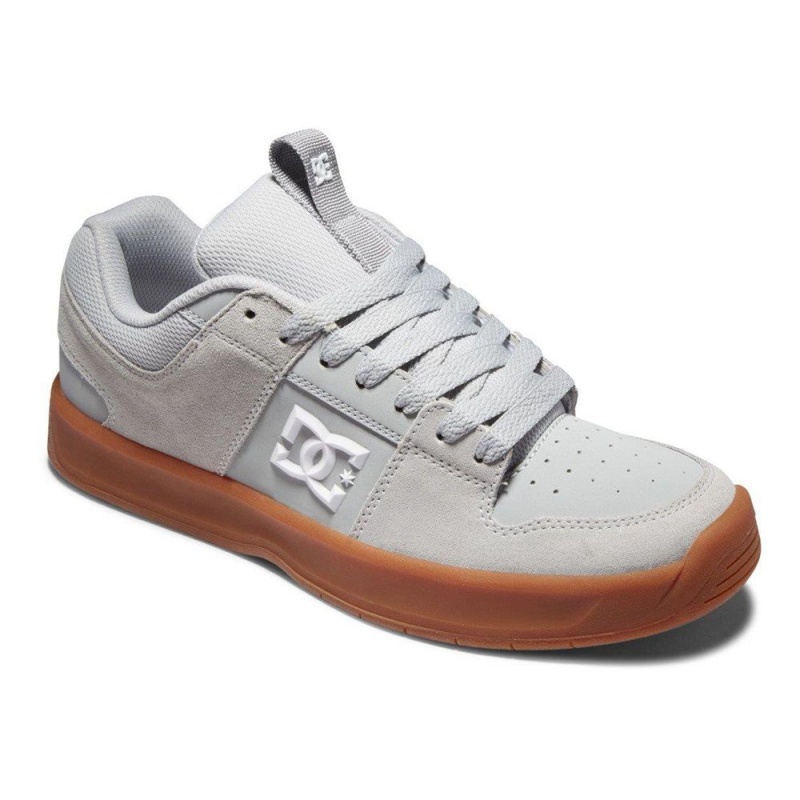 DC Shoes Lynx Skateskor Herr Grå | XCZD-89124