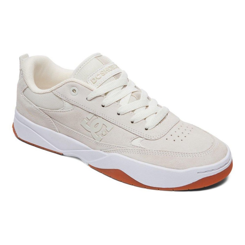 DC Shoes Penza Träningsskor Herr Grå | EQHB-49682