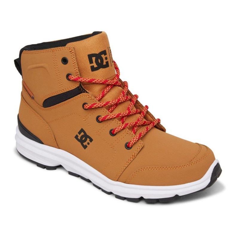 DC Shoes Torstein Stövlar Herr Bruna Svarta | LDFT-34807